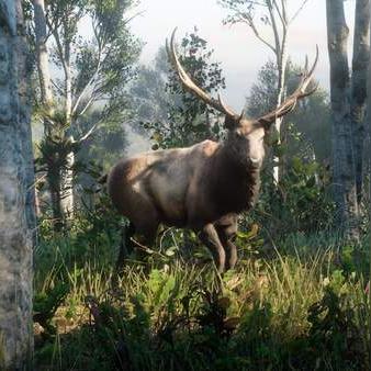 荒野大镖客地图（荒野大镖客地图，探索无尽的西部传奇）