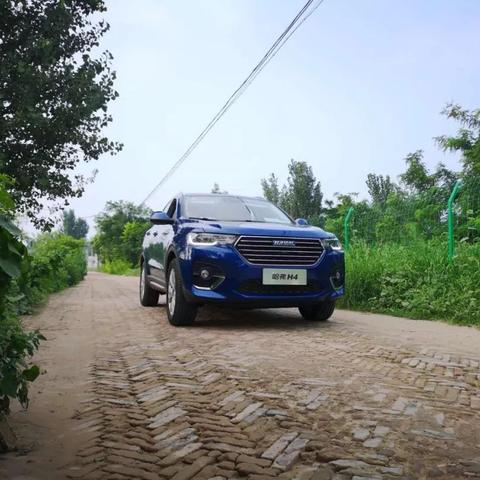 保定市白沟烧饼的长尾关键词有什么