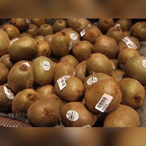 温州市哪里有检酸机构