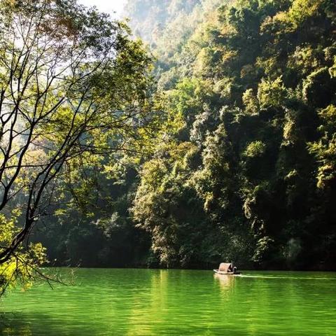 河南奇亿佳的相关长尾关键词有哪些