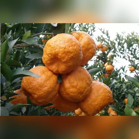 温州到桂林旅游相关长尾关键词有哪些