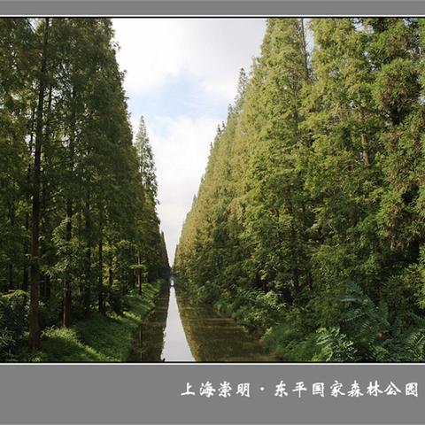 盘点上海东平国家森林公园相关关键词有哪些