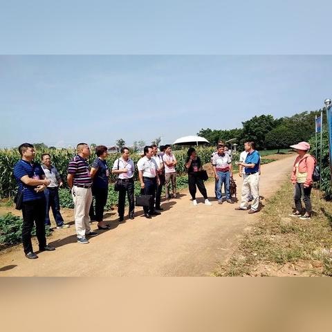 桂林市农科院工资待遇怎么样