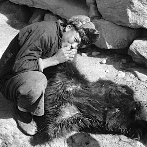 兰州脱毛价位的相关长尾关键词有哪些