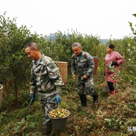 济南市南明村是哪个区域