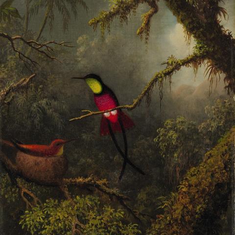 马丁海德足球运动员的长尾关键词有什么