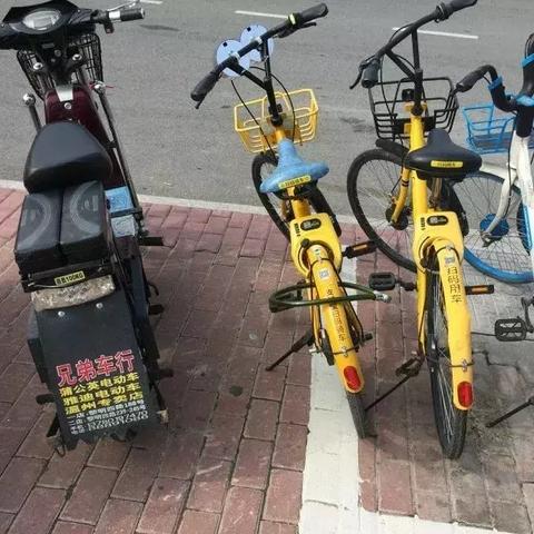 温州市自行车骑行地点在哪里