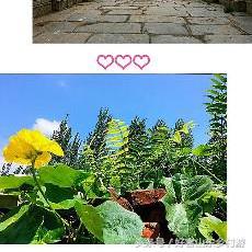 济南市平阴县夜间美食有哪些