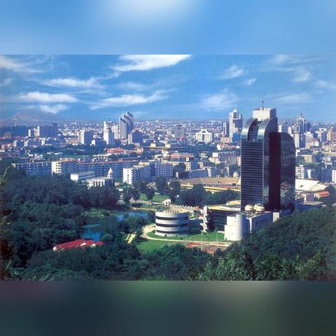 沈阳市药材公司属哪个区