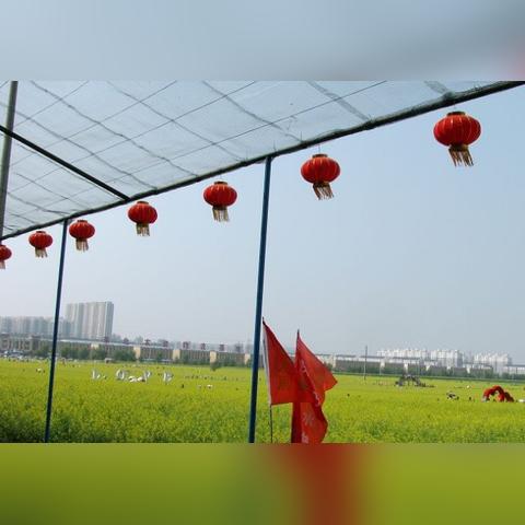 沈阳到铁岭油菜花相关长尾关键词有哪些