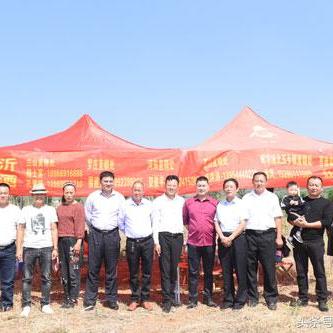 山东临沂市兰陵县羊汤的长尾关键词有哪些