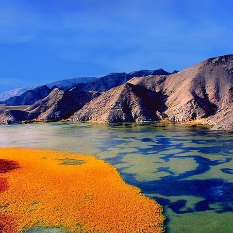 兰州市金轮广场属于哪个街道