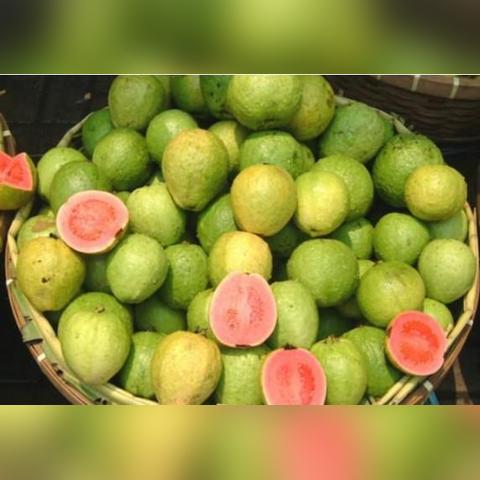 广西到福建哪个火车好坐