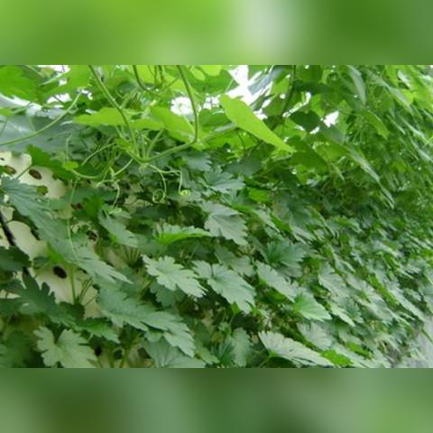 北方海鲜哪里批发便宜一手货源的长尾关键词有哪些