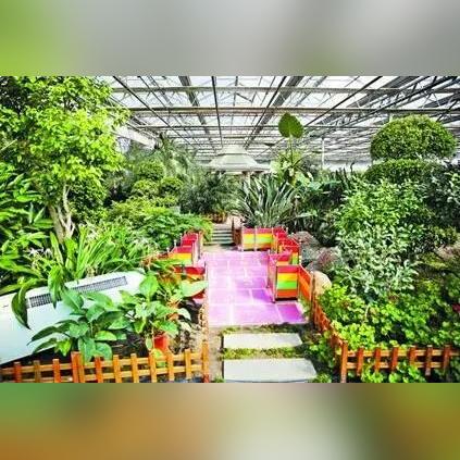 哈尔滨市松北区开过哪些厂子