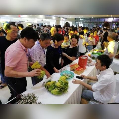 金华市和宁波市哪个发达