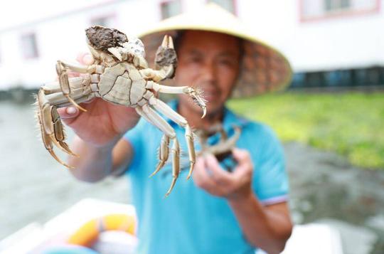 不做it，去卖蟹！他创业两年就年销过亿的秘密是……