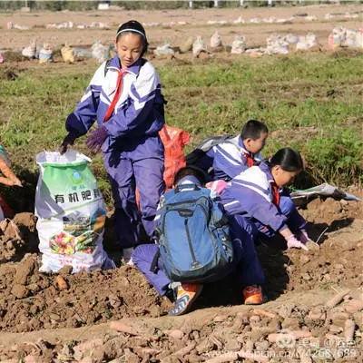 南宁市金川路小学怎么样？