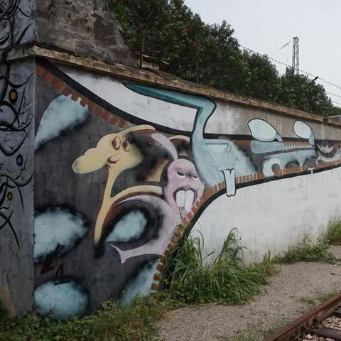 深圳市哪个公园花比较多