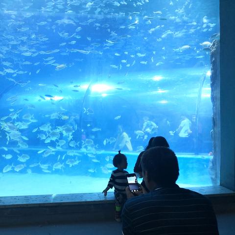 邯郸市一模生物试卷分析的长尾关键词有哪些