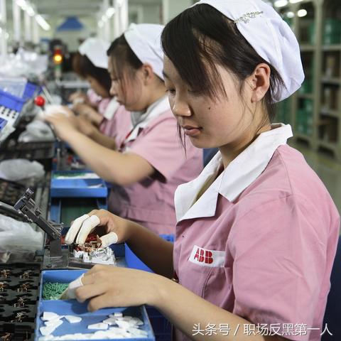 深圳市哪个区食品厂多