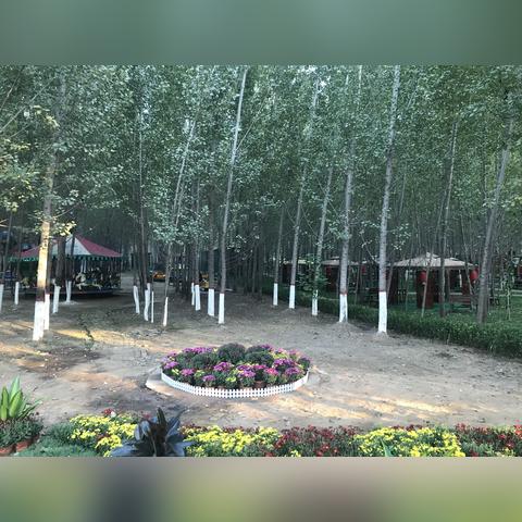 天津哪个露营最好