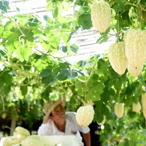 临沂市初甜烘焙地址在哪里