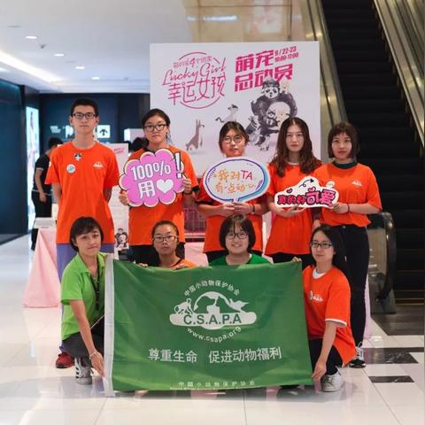 在天津领养猫怎么样的