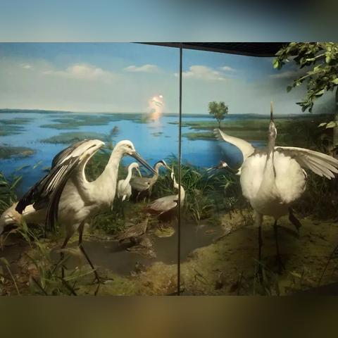 长春市遛娃胜地在哪里