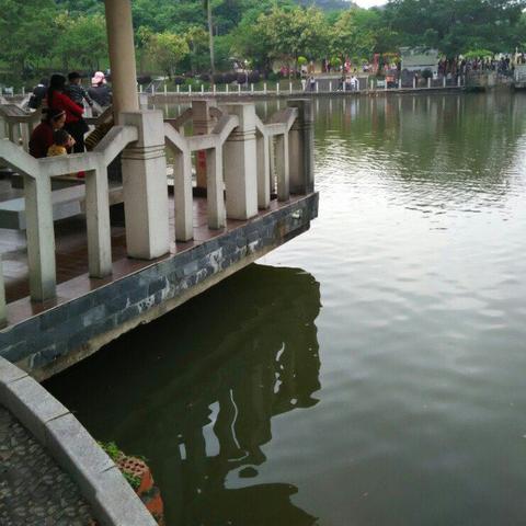 南宁森林公园好玩吗？