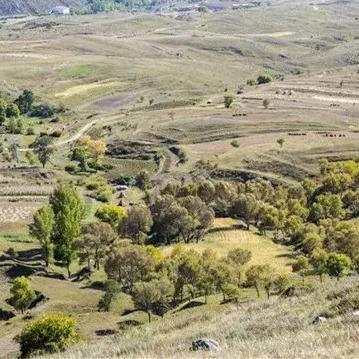 泉州市郑大姐的长尾关键词有哪些