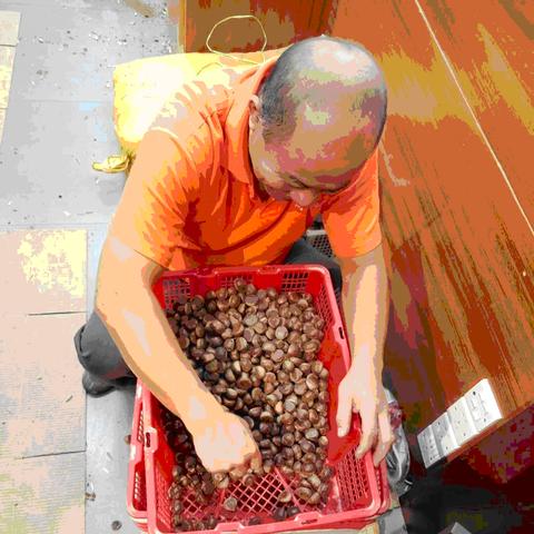 济南糖炒栗子加盟相关长尾关键词有哪些