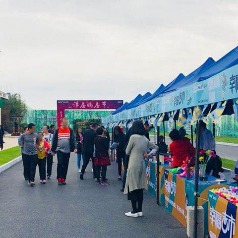沈阳市孔雀城属于哪个区