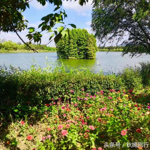 苏州常熟秋菊展览会什么时候