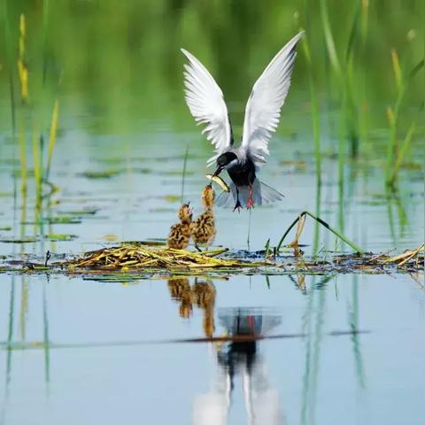 天津哺育中心怎么样
