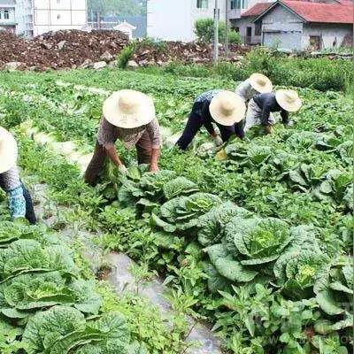 福建省工程造价网的相关长尾关键词有哪些