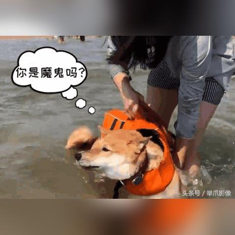 哈尔滨市游泳教练在哪里工作