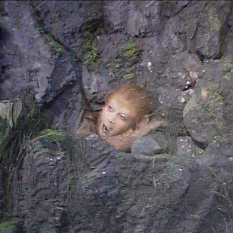 兰州安宁红灯区在哪些的相关长尾关键词有哪些