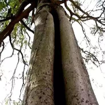 师宗县属于什么气候