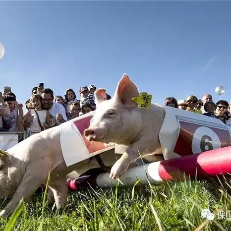 临沂市兰山火腿的长尾关键词有什么