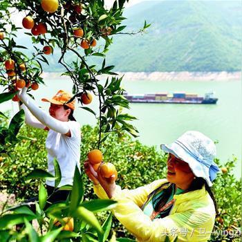 桂林市特产街有哪些地方