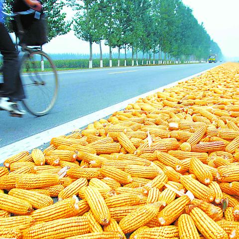 哈尔滨散装食品加盟相关长尾关键词有哪些