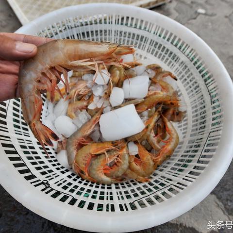 福建海上打工捞菜怎么样