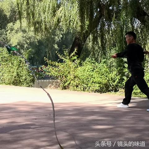 沈阳青年公园有什么好玩的？
