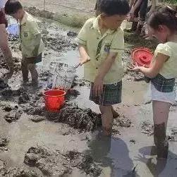 广州野餐黄埔相关长尾关键词有哪些