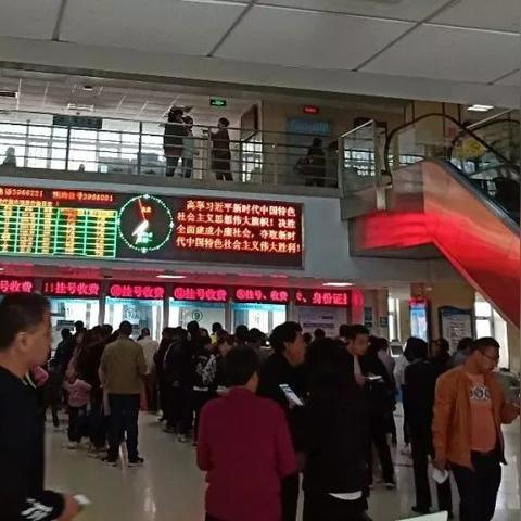 保定市城区人口多少万人