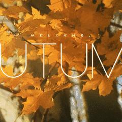 哈尔滨银行钻石相关长尾关键词有哪些