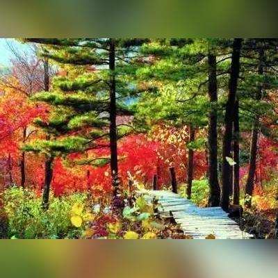 哈尔滨进乡街相关长尾关键词有哪些