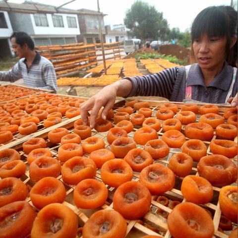 桂林市哪里有卖恭城柿饼