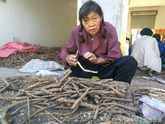 国庆节放7天假，农村孩子打零工挣钱，每天工作12小时挣70元